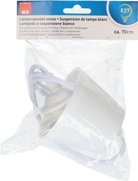 Image du produit Max Hauri Suspension de lampe E27