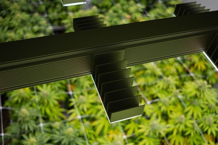 Actual product image Sanlight EVO Set 100 - 1.5 (LED, 230 V)