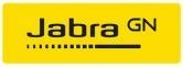 Produktbild Jabra Evolve 65 (Kabellos, USB-A)
