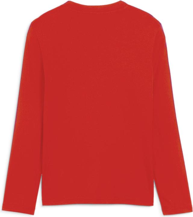 Actual product image Puma teamGOAL Baselayer Tee LS Jr. (176)