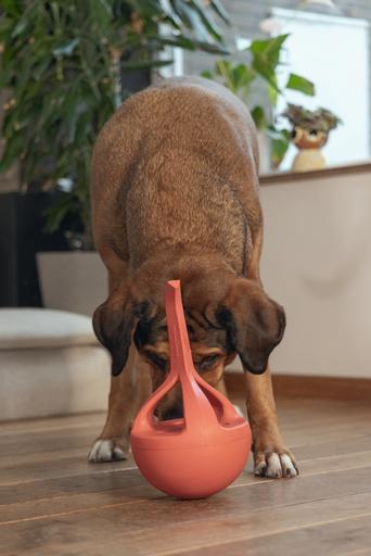 Actual product image Beeztees Rubber dog toy Wiggle-X (Dog chew toy)