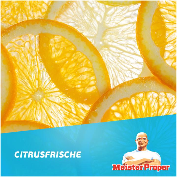 Actual product image Meister Proper Allzweck-Bodenreiniger