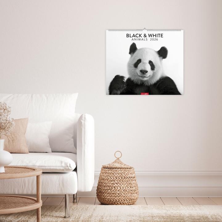 Produktbild Black & White Animals 2026 (55 x 46 cm, Harter Einband, Deutsch)