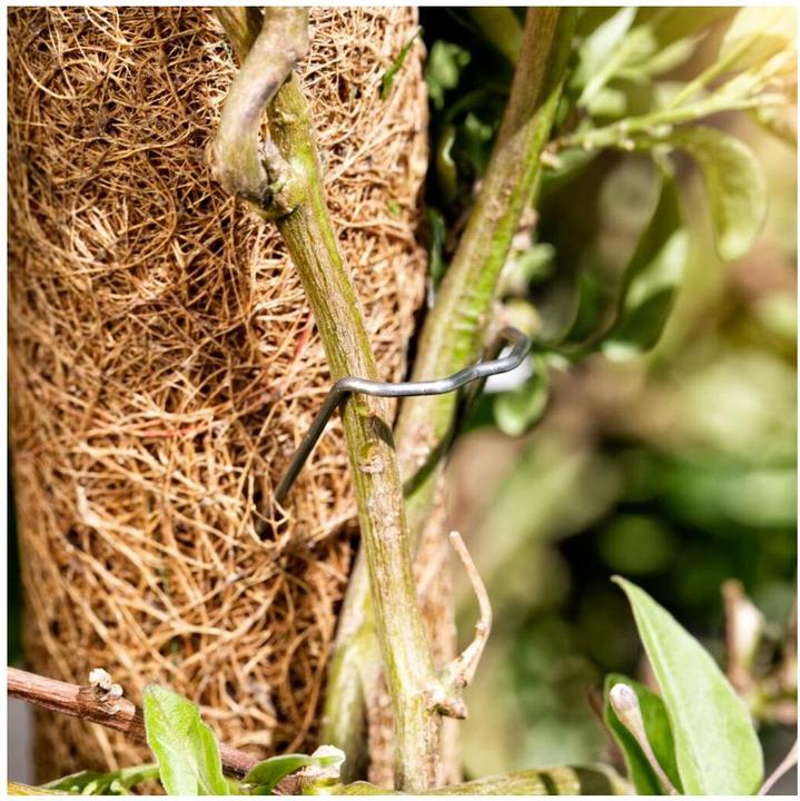 Immagine prodotto Windhager Cocco (60 cm, 4 cm)