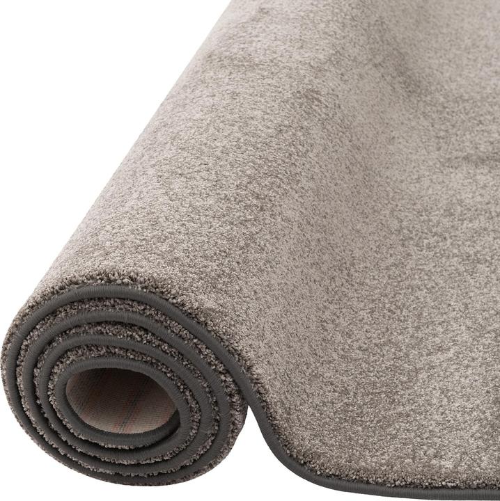 Produktbild Snapstyle Hochflor Luxus Velours Läufer Teppich Touch (80 x 320 cm)