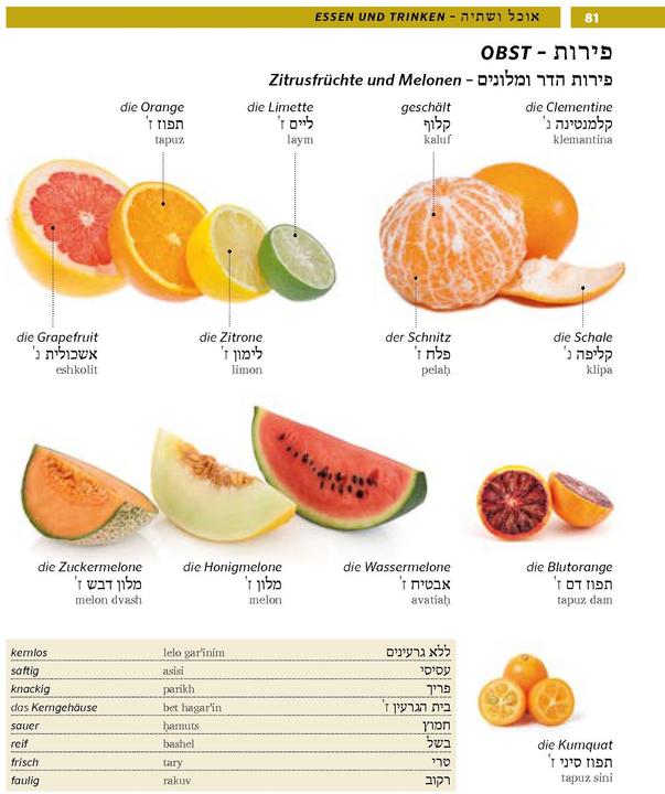 Produktbild Bildwörterbuch Hebräisch (Deutsch, Hebräisch, 2022)