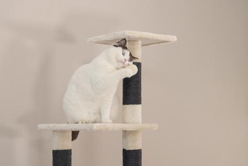 Immagine prodotto Beeztees Figado (135 cm, Beige)