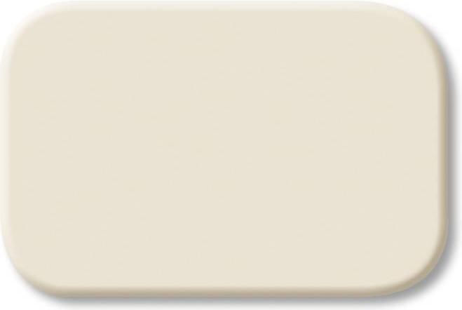 Actual product image Busch-Jaeger Pushbutton symbol neutral 2525N Duro 2000 SI 2525N (1433-0-0416)