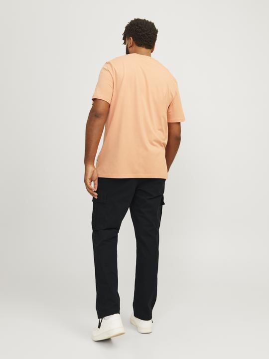 Actual product image Jack & Jones Jpstkane Jjbarkley Cargo Pant Noos Pls (W44/L32)