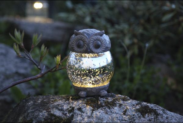Produktbild Schönenberger Owly
