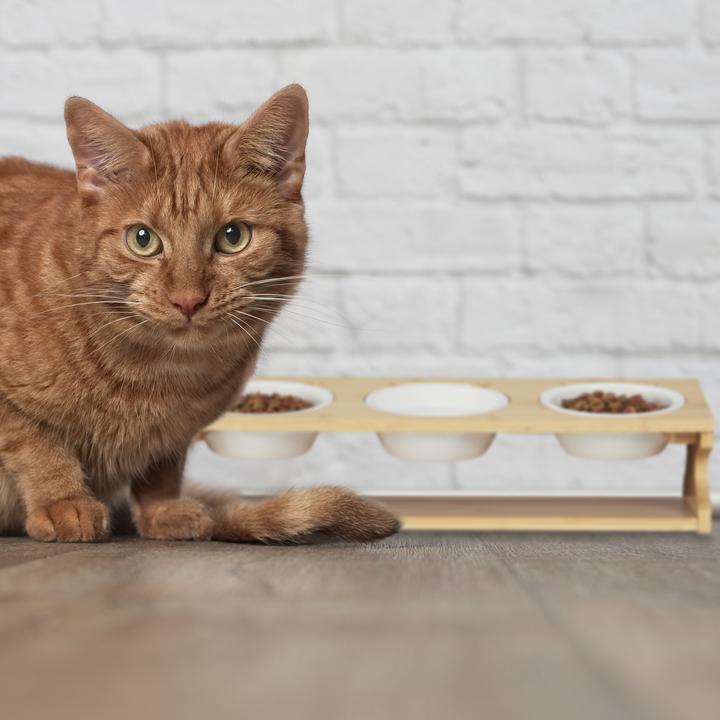 Produktbild Relaxdays Katzen-Futterstation (0.40 l)