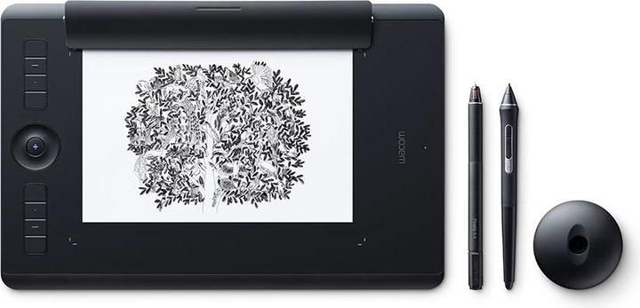 Produktbild Wacom Intuos Pro M (15.60", 5080 lpi)