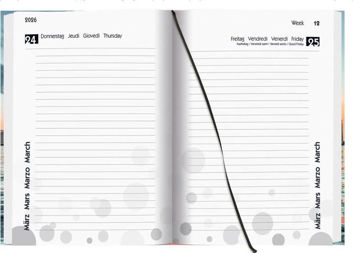 Produktbild Biella Schüleragenda mydiary (12 x 16.5 cm)