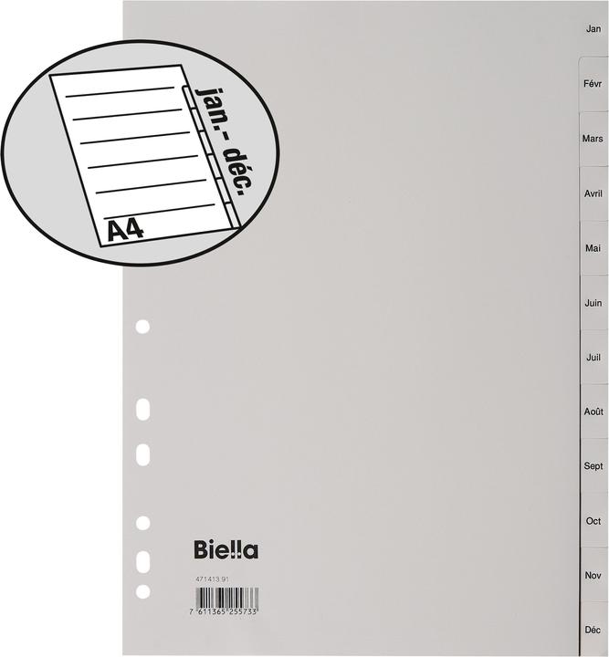 Immagine prodotto Biella Registro PP