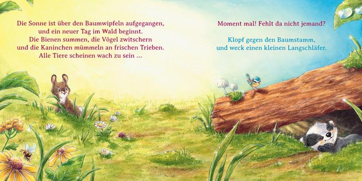 Actual product image Wer ist hier ein Frechdachs? (German)