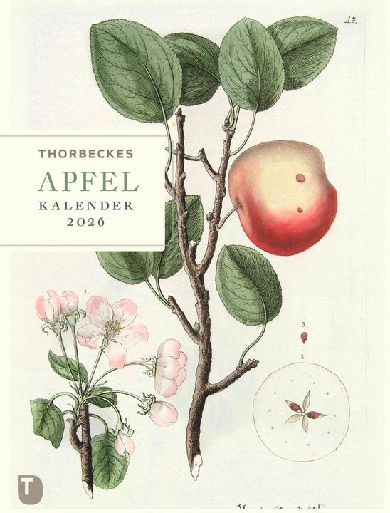 Actual product image Thorbeckes Apfel-Kalender 2026 (24 x 32 cm, German)