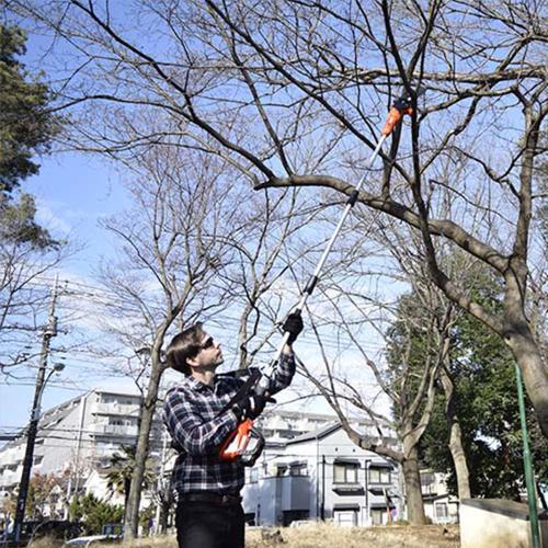 Actual product image DPPF310 40V cordless pole pruner Without battery and charger (Battery chain saw)