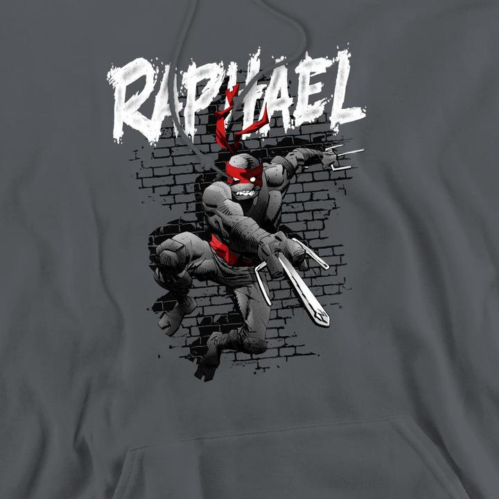 Immagine prodotto Teenage Mutant NT Felpa con Cappuccio Raffaello Uomo (XXL)