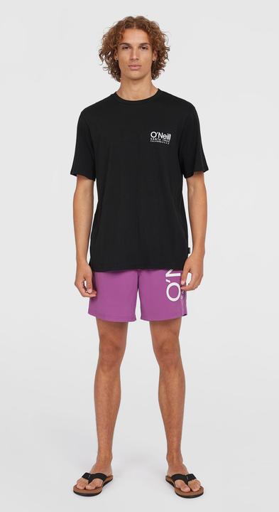Immagine prodotto O'Neill Original Cali 16" Swimshorts (XXL)