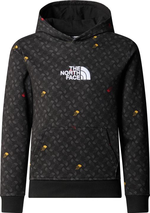 North Face Boy's Drew Pealight P/O Hoodie Print
