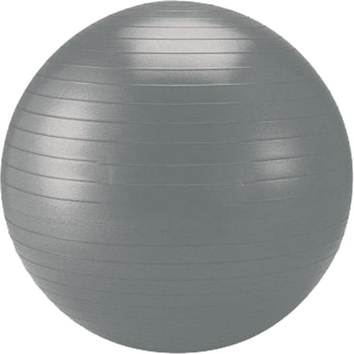 Produktbild Schildkröt Gymnastikball (65 cm)
