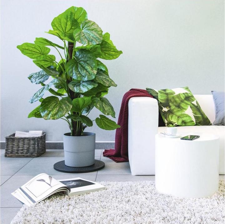 Image du produit Hama Plateau tournant universel XL