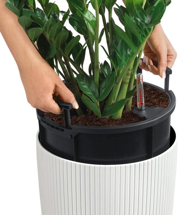 Actual product image Lechuza Cilindro 32 (32 cm)