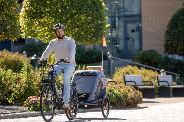 Immagine prodotto hamax Rimorchio per bicicletta Avenida One verde oliva con sospensioni
