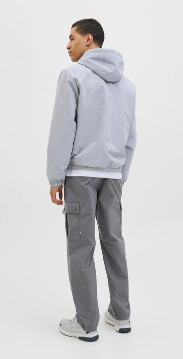 Actual product image Jack & Jones Loose Fit Loose Fit Hosen Loose Fit Hosen (W29/L32)