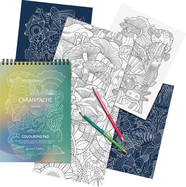 Actual product image Caran d'Ache Claim Your Style Bicolour special edition (Multicoloured, 6 x)