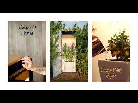 Produktbild Growfor.life Pflanzenschrank