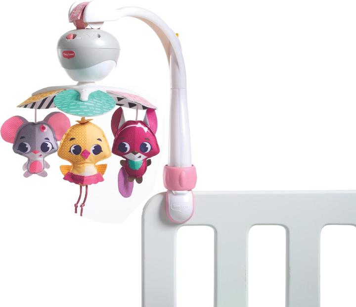 Tiny Love Take Along- Tiny Princess Tales