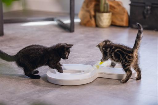 Actual product image Beeztees Bz Kitten Pl Game Rail Agty (Cat activity toy)