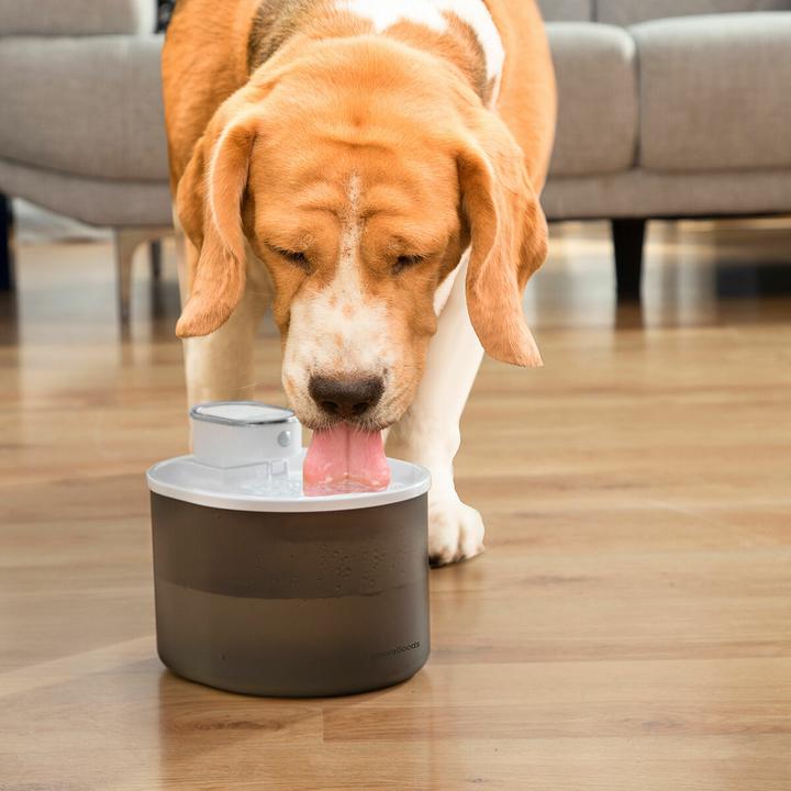 Produktbild InnovaGoods Wiederaufladbarer Katzenbrunnen mit Sensor (3 l)