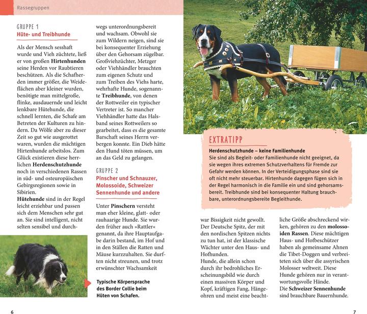 Image du produit Les races de chiens de A à Z (1 pcs, 324 g)