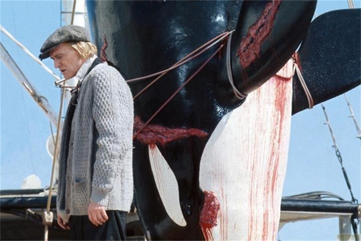 Produktbild Orca, der Killerwal - Limited Steelbook Edition (Blu-ray, 1977, Deutsch)