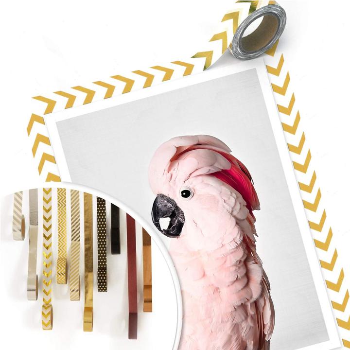 Image du produit Trenddeko Cacatoès rose (30 x 40 cm)