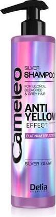 Actual product image Delia Cosmetics Cameleo Silver (250 ml, Liquid shampoo)