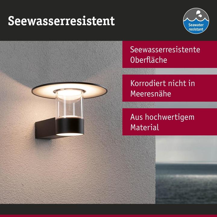 Actual product image Paulmann Sienna (950 lm, IP44)