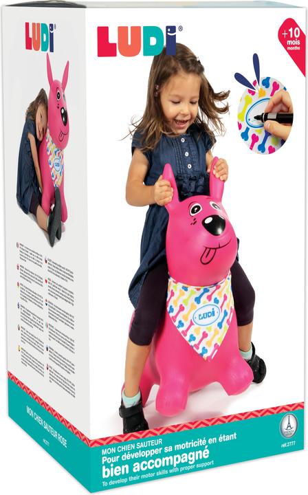 Actual product image LUDI Bouncing dog