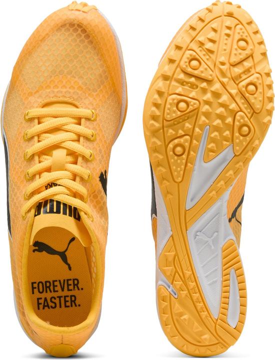 Image du produit Puma evoSPEED Haraka 8 Unisex Spikeless (47)