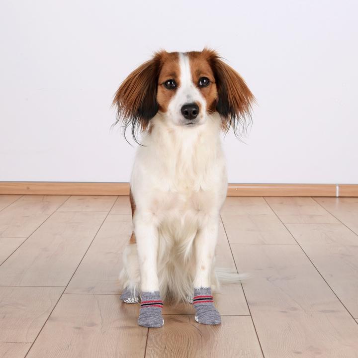 Image du produit Trixie Chaussettes pour chiens (M, L, Chaussettes pour chien)