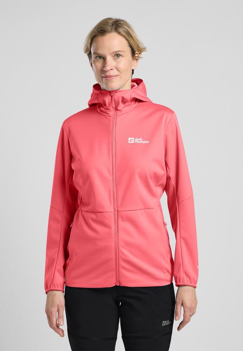 Actual product image Jack Wolfskin Feldberg Hoody W (S)