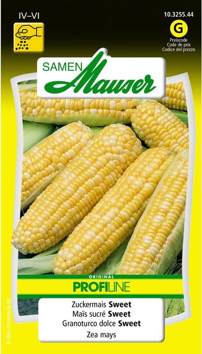 Samen Mauser Sweet corn Sweet Profiline (Vegetable seeds)