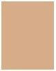 Immagine prodotto Shiseido Sport BB Fluid SPF50+ (Medio Scuro)