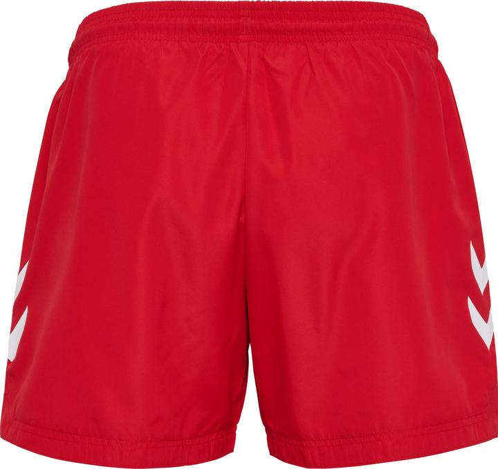 Produktbild hummel hmlLGC NED SWIM SHORTS (M)