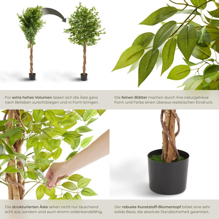 Immagine prodotto tectake Ficusbaum Fida (180 cm)