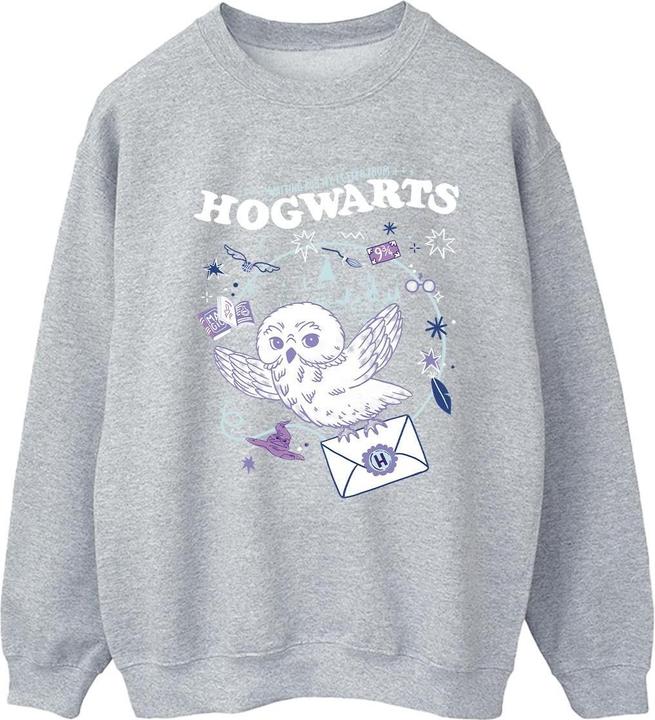 Owl Letter From Hogwarts Sweatshirt (L)