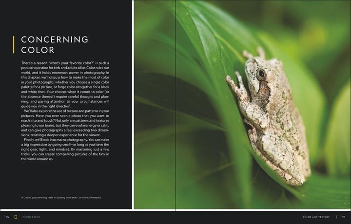 Produktbild National Geographic Foto Basics (Deutsch, Joel Sartore, 2020)