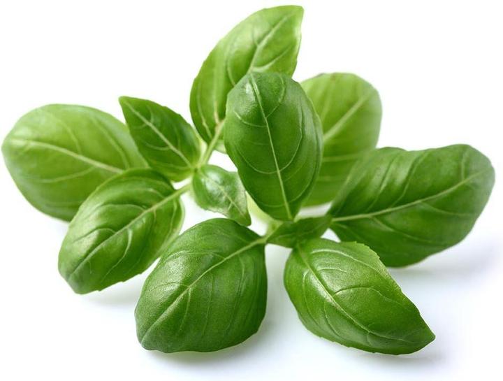 Actual product image Click and Grow Basil (Herb seeds)